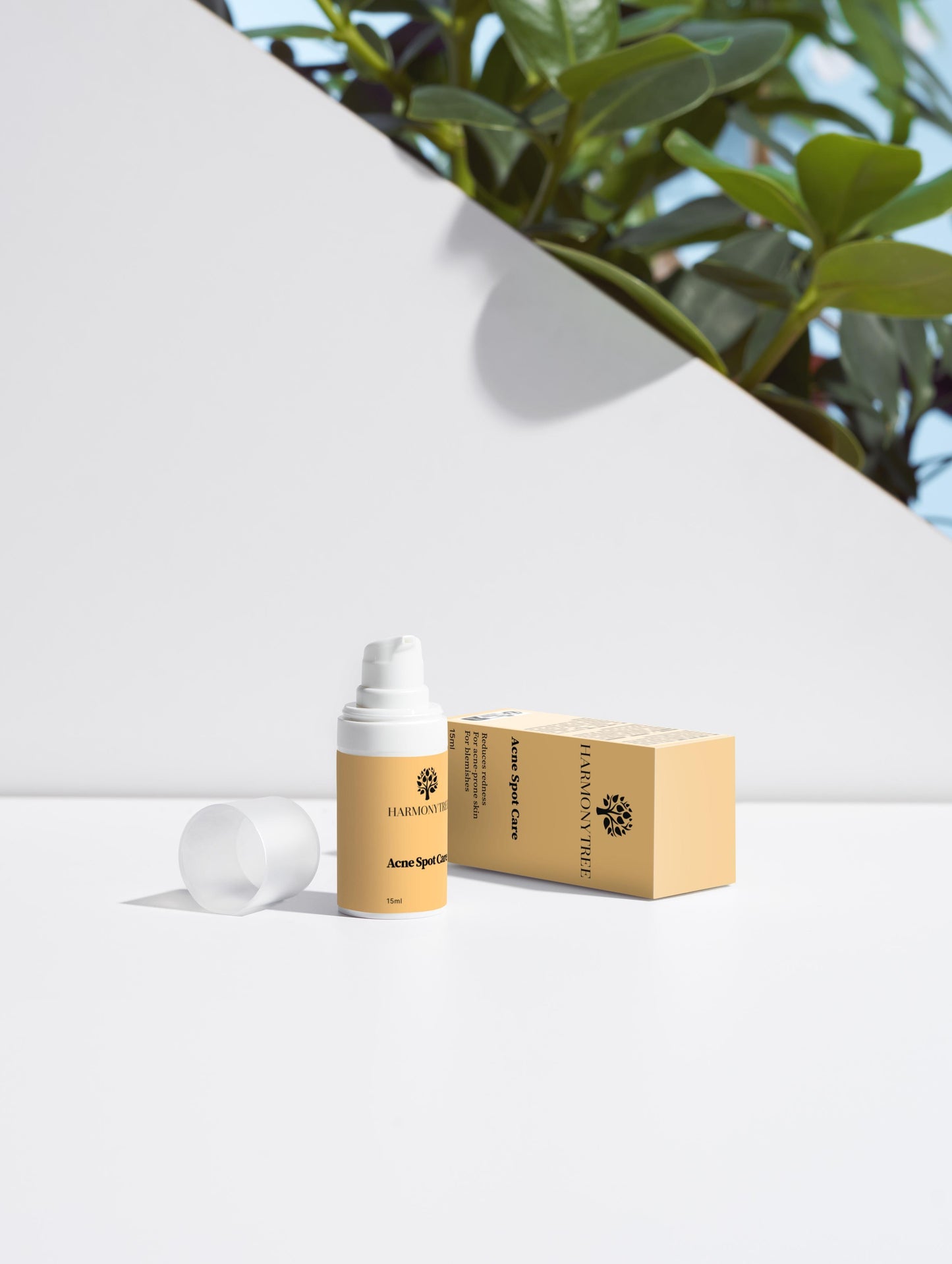 Acne Care Collection Box - HarmonyTree